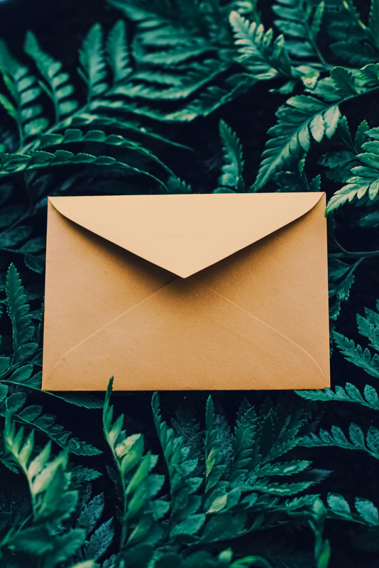 Blank Envelope and Green Leaves in Nature